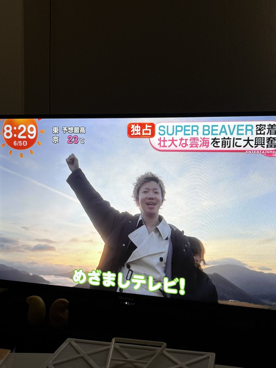 dihhhhhhhs's tweet photo. 朝から笑った https://t.co/otGLBwPeNT