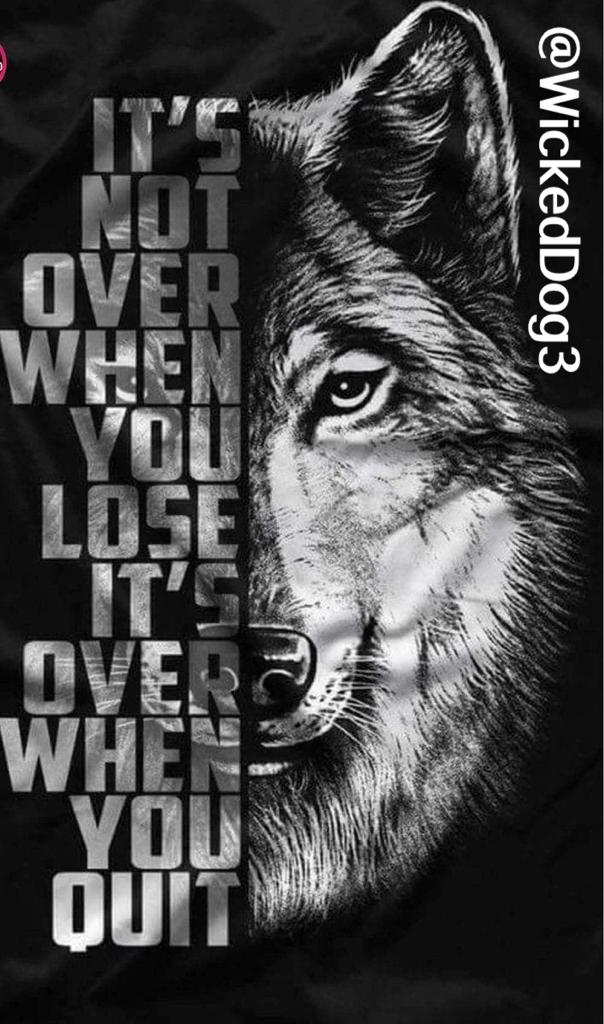 Wicked Dog tweet media