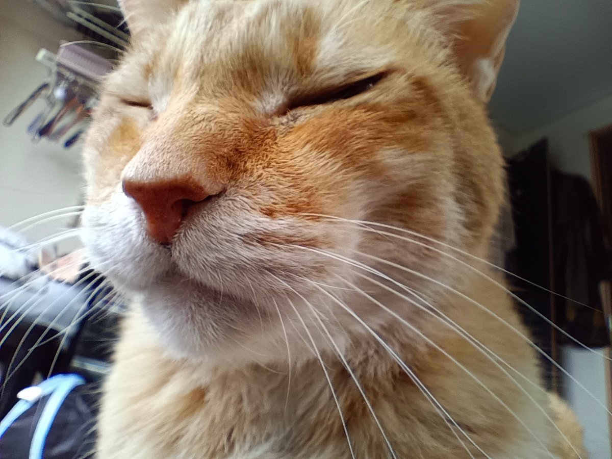 emphasizeman's tweet photo. 今朝のクジ。 https://t.co/uLZOblkZQ1
