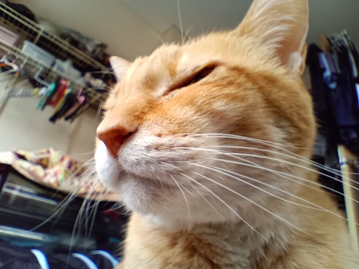 emphasizeman's tweet photo. 今朝のクジ。 https://t.co/uLZOblkZQ1