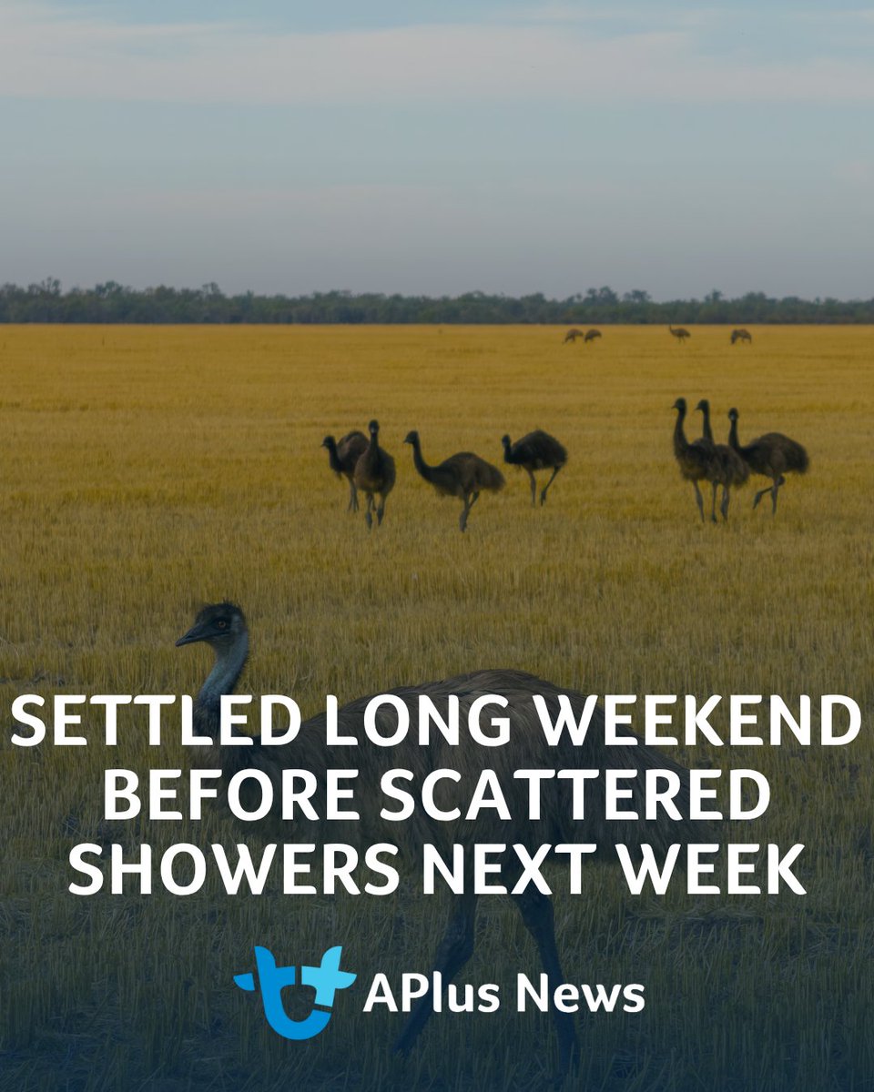 AuctionsPlus tweet picture