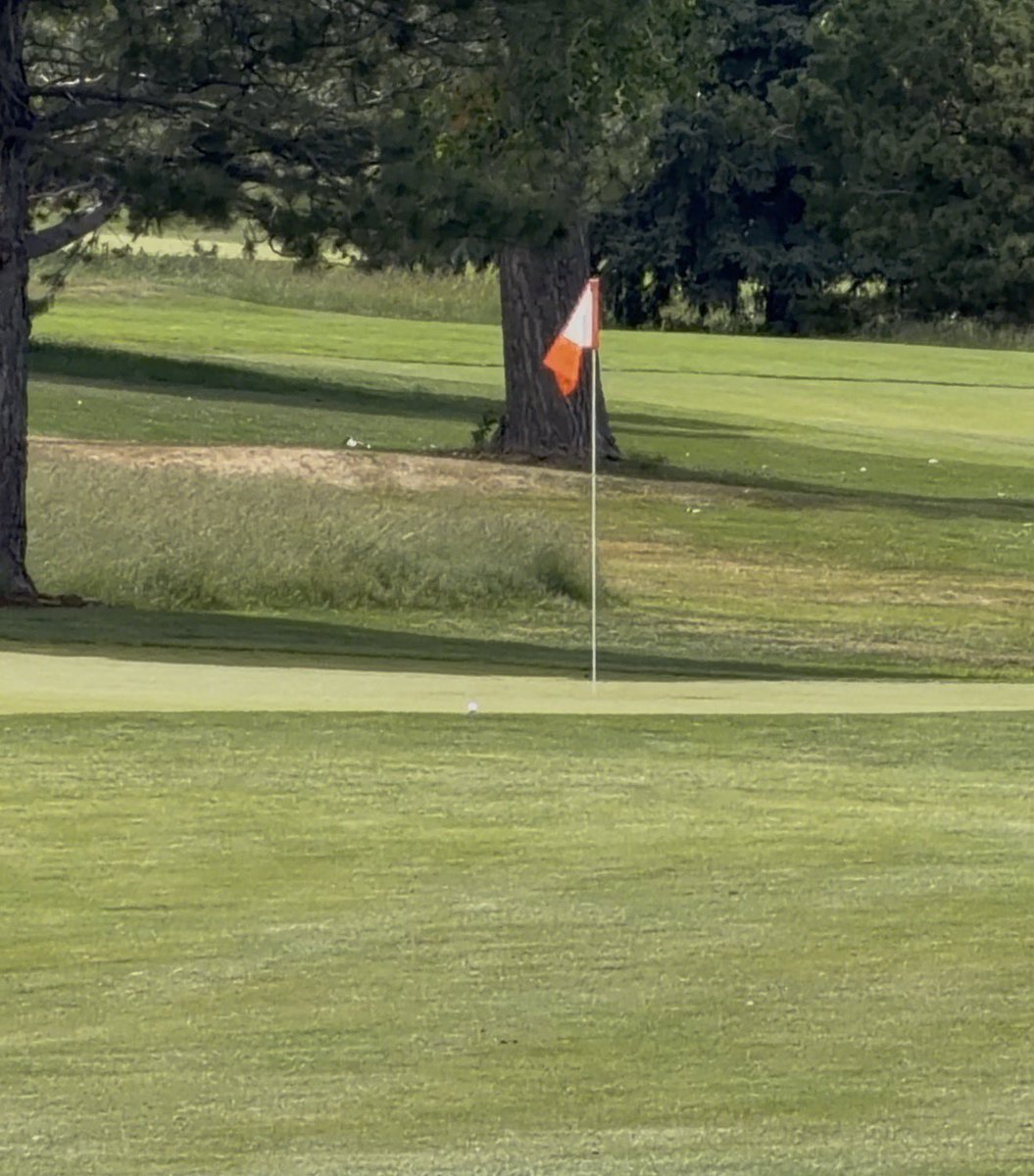 SpookyCards's tweet photo. (Zoomed In)
Eagle putt from 25ft. 

And yes. I DID 3 putt for par. Thank you for your support 🫡 https://t.co/XuhtAaA6J4