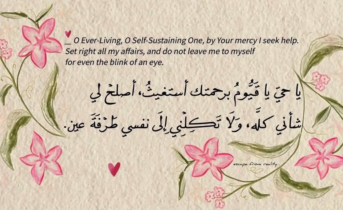 Lamia__zh's tweet photo. https://t.co/4zajo0wxwM