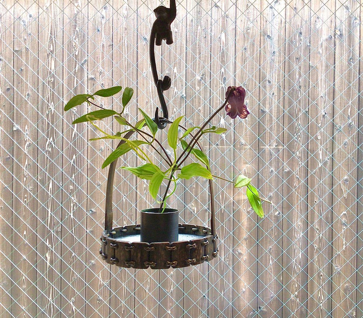 ZENBI_KAGIZEN's tweet photo. 【#ZENBIのお花】

ベルテッセンとリキュウソウを生けていただきました。
ZENBIにお越しの際は、館内の設えもお楽しみください。

企画展「染谷聡—trace tracing」
会期　2026/4/19(日) ～ 7/26 (日) https://t.co/8ENa3L9xVh