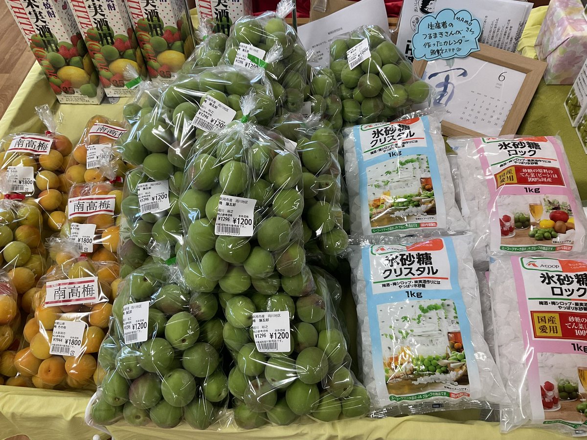 うめじろう 確認ページ 地元の藤五郎梅が入荷しました！ 梅干し、梅シロップ、梅ジュースに