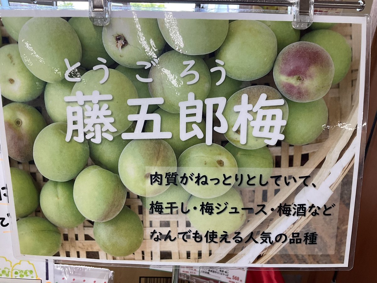 うめじろう 確認ページ 地元の藤五郎梅が入荷しました！ 梅干し、梅シロップ、梅ジュースに