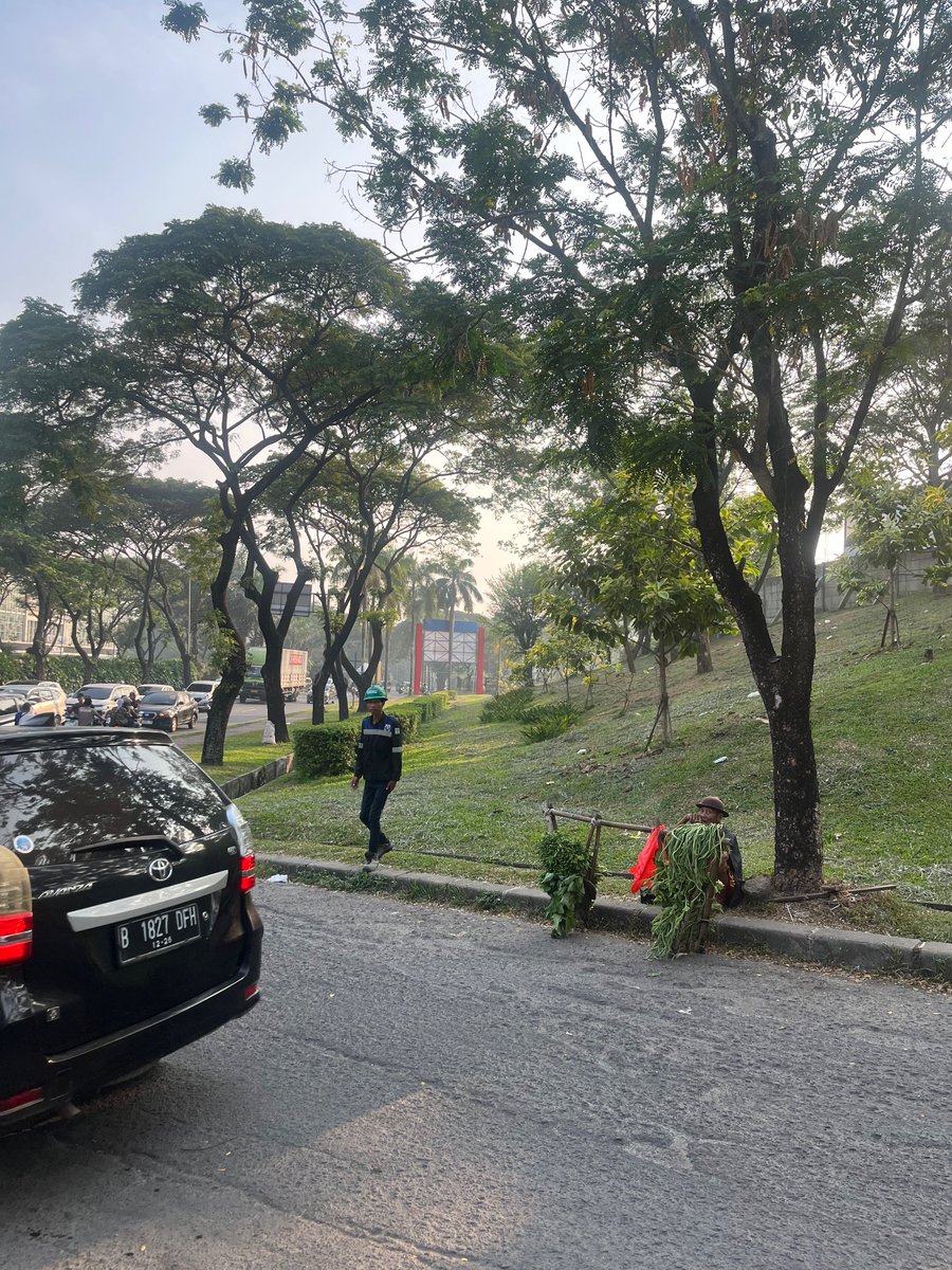 PernebangRoket's tweet photo. Temen2 Cikarang terutama daerah Deltamas, bantu larisin dagangan engkongnya yuk, belio suka mangkal di jalan deket Sukamahi tiap hari sebelum jam 8 pagi, sayuran mulai dri 5rb aja kaya cabe2, tomat, kangkung, kcg panjang, daun singkong, sawi, dll
@txtdrbekasi @txtdarickr https://t.co/GAmRuq6emx