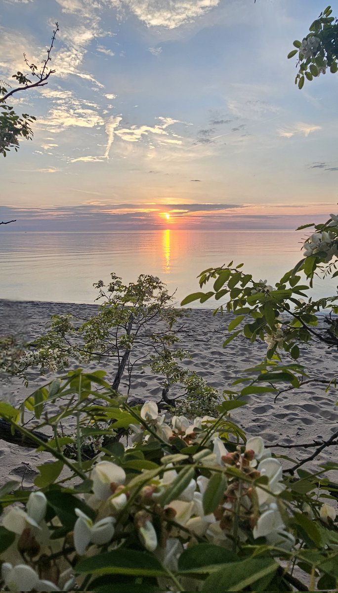 kazoo8888's tweet photo. tonight's lake michigan sunset, st joseph mi https://t.co/mIGh8KrB9c