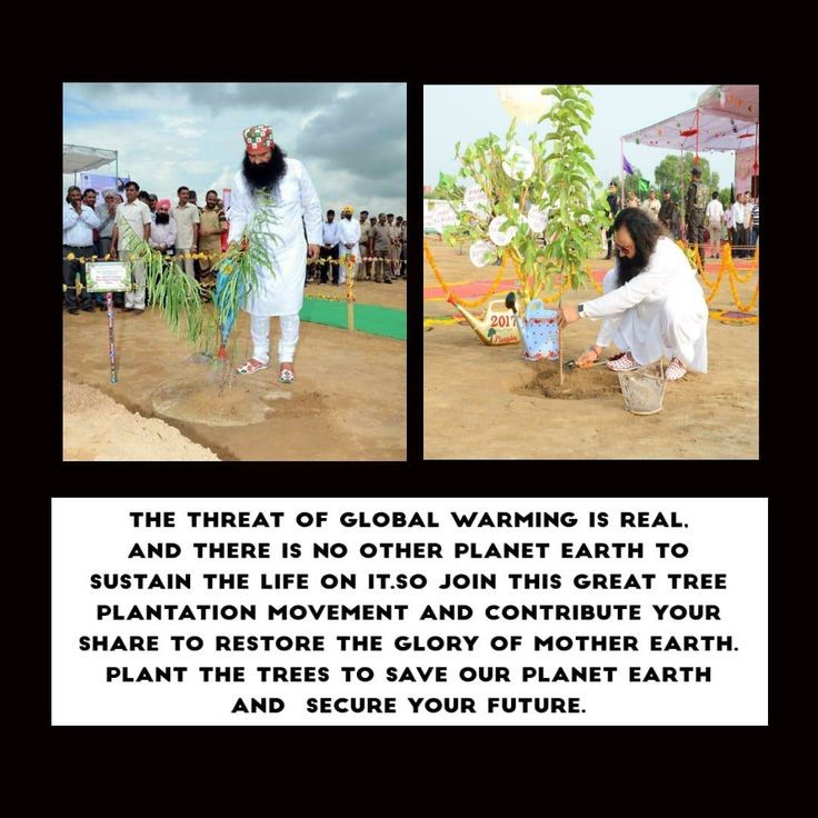RohitIn75340149's tweet photo. Planting trees helps in improving the quality of the environment and also reduces global warming. The volunteers of DSS have planted trees and organized plantation drives under the guidance of Saint Gurmeet Ram Rahim Ji Insan.
#WorldEnvironmentDay
#WorldEnvironmentDay2026 https://t.co/fS0W9Jk8F6