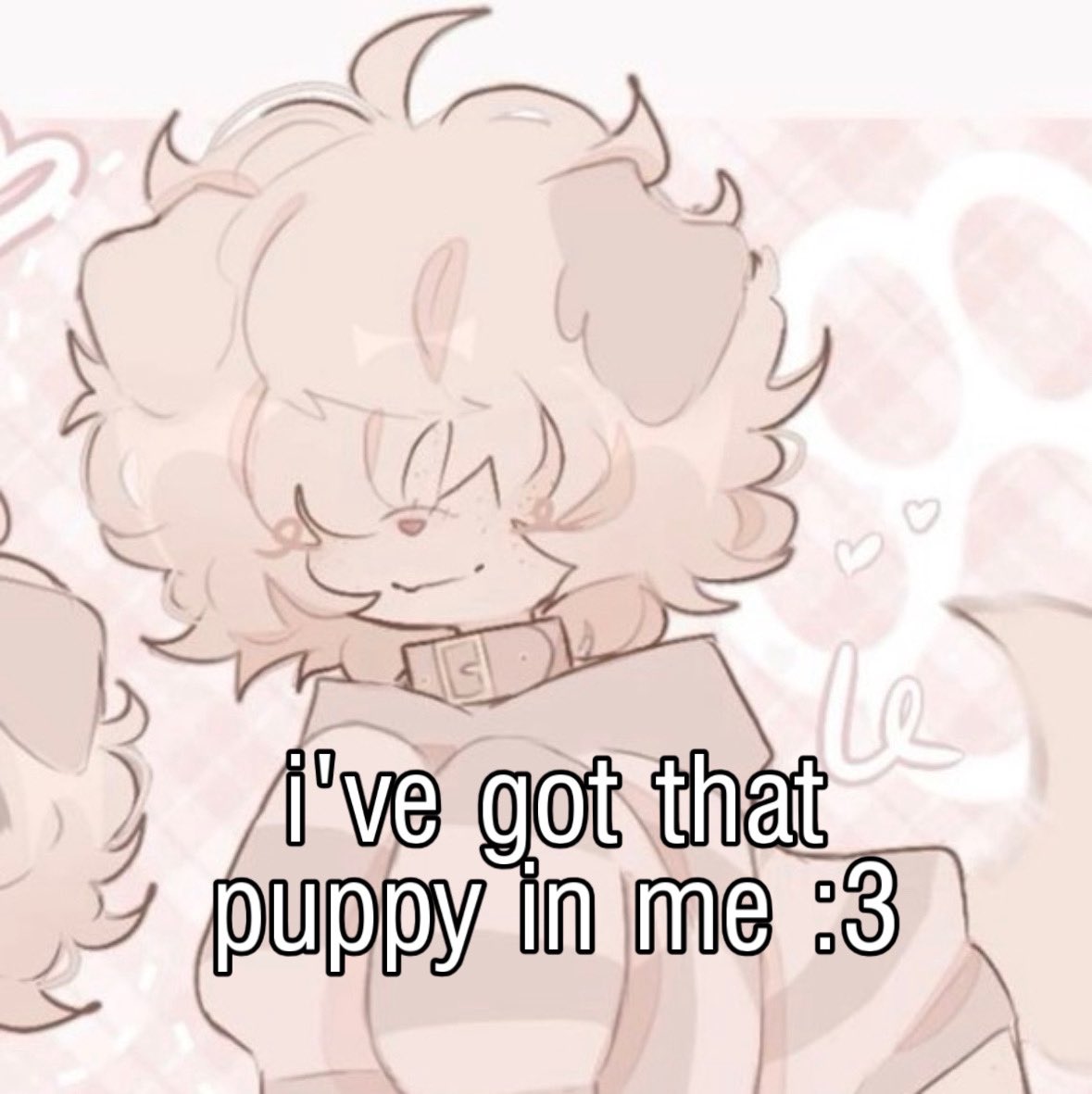 𑣲⋆ avery ! tweet media