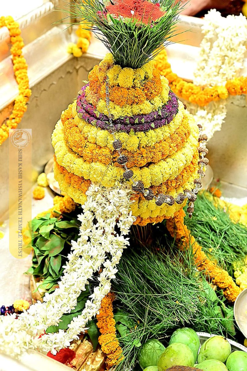 Shri Kashi Vishwanath Temple Trust tweet media