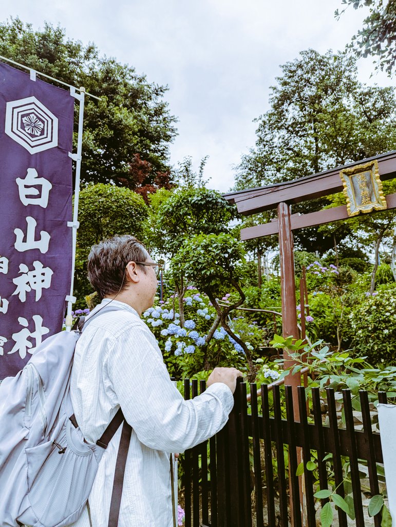 kamimotobungu's tweet photo. 白山神社の中で出会った巨木｡御神木ではないらしいけれど､長い年月を生き抜いてきた生命力やうねる幹にはただならぬ気配を感じました｡
【第42回文京あじさいまつり】2026/6/6〜6/14
地下鉄都営三田線白山駅A3出口から徒歩約2分
東京メトロ南北線本駒込駅1出口から徒歩約6分※駐車場はありません https://t.co/gzu0bNHzkb