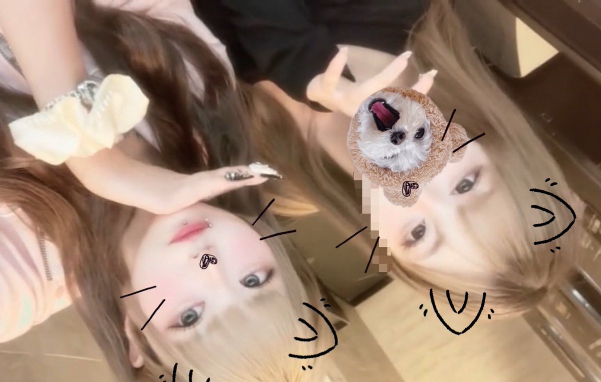 りぃちゃんです。🐈ྀི tweet media
