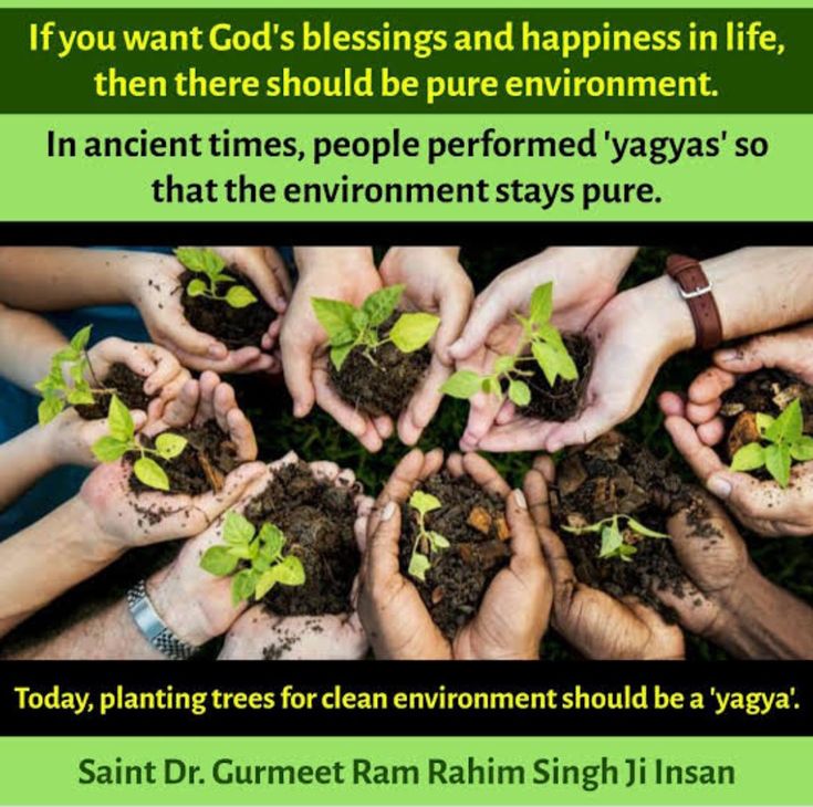 NehaBindal10's tweet photo. A greener planet begins with small actions—planting trees, saving water, and reducing waste. 🌱🌍
Inspired by Saint Gurmeet Ram Rahim Ji, let's work together for a cleaner and healthier future. 💚🙏
#WorldEnvironmentDay #WorldEnvironmentDay2026 https://t.co/aHAJlQV0bs