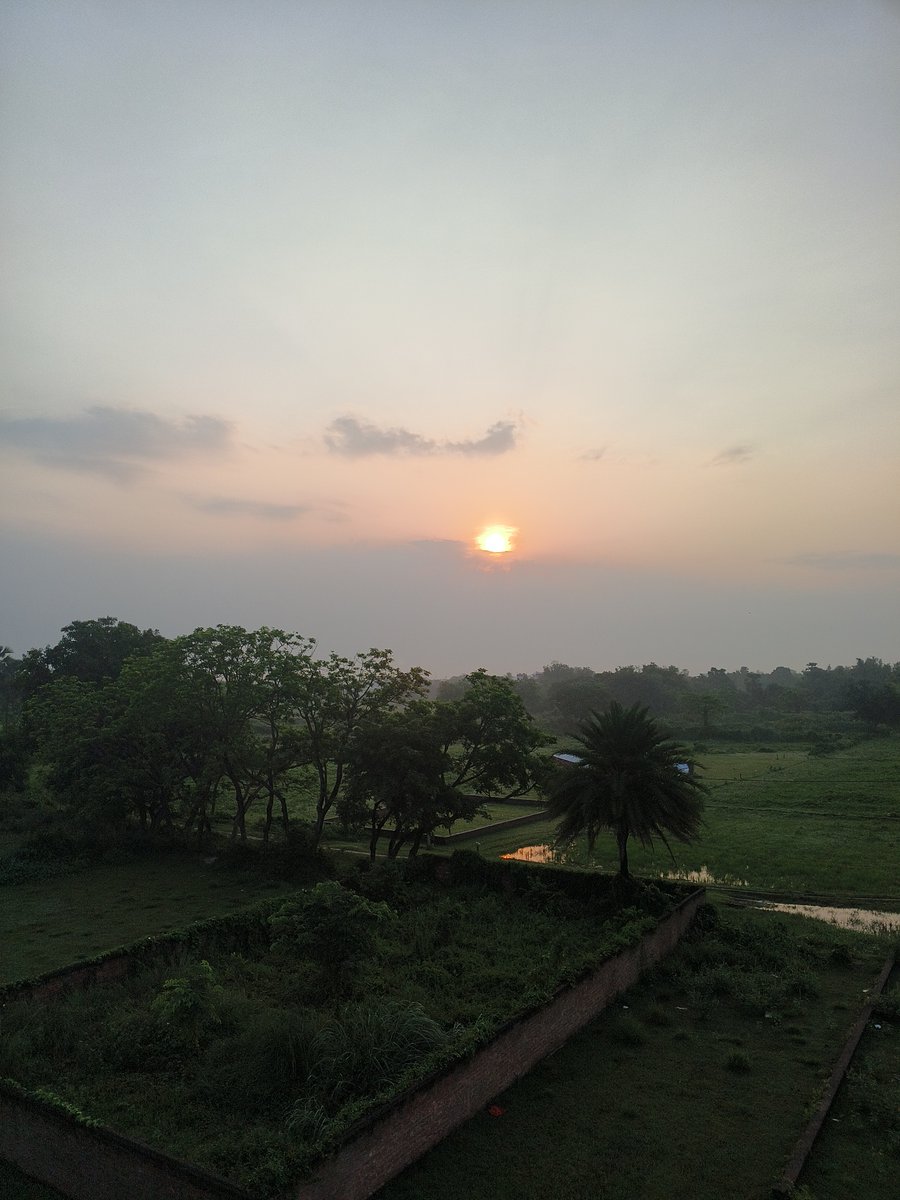 IAditiMishraa's tweet photo. Good morning friends 🌻🌸

A little late today... The sun has already risen ☀️ https://t.co/HDqRlZZcJV