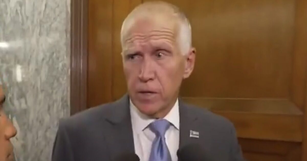 gatewaypundit's tweet photo. RINO Sen. Thom Tillis Threatens to Sink Todd Blanche AG Nomination Unless He Condemns J6 Protesters (VIDEO)

READ: https://t.co/2dnlBSXDVB https://t.co/oH0vPeWxEV