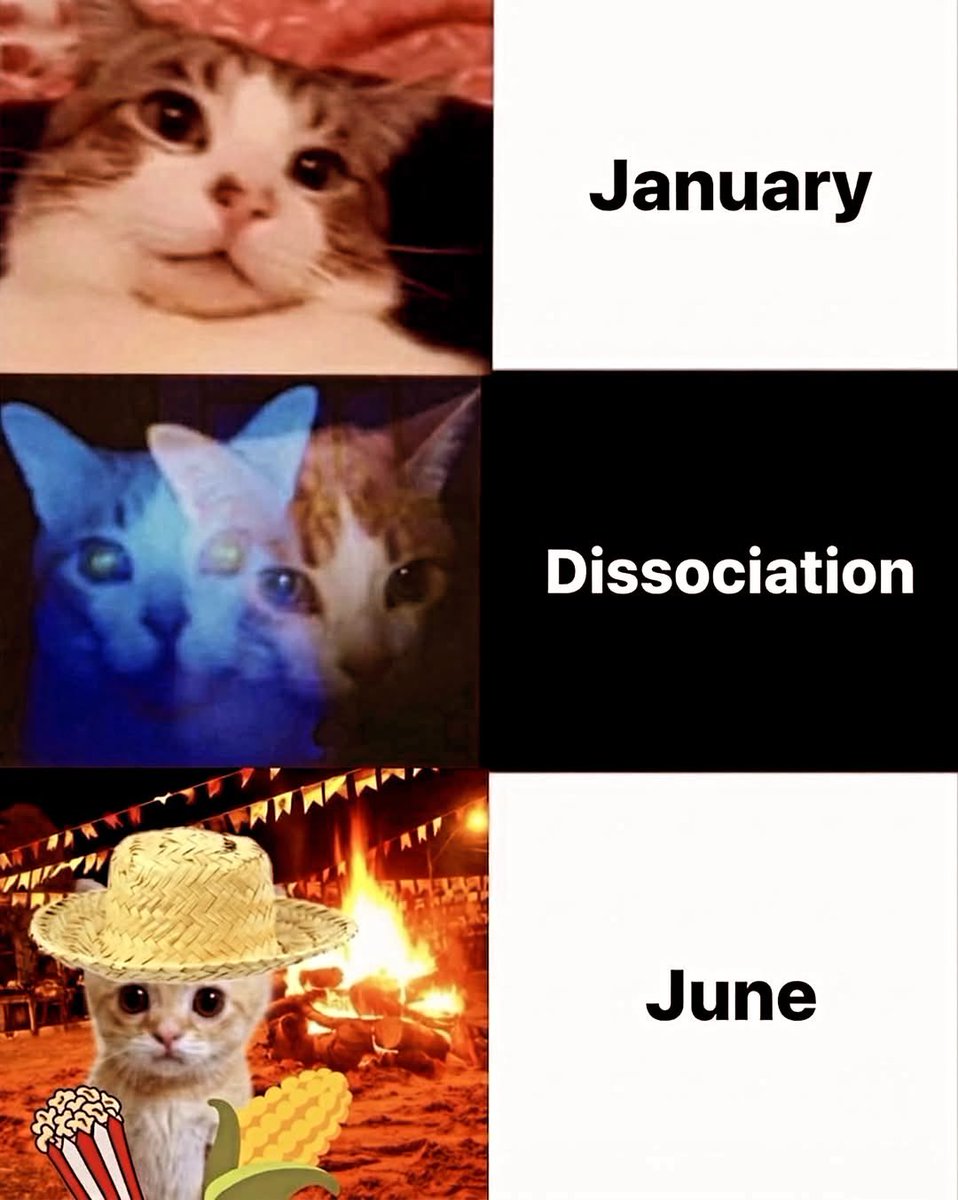 NoCatsNoLife_m's tweet photo. https://t.co/bIn3u2xrE7