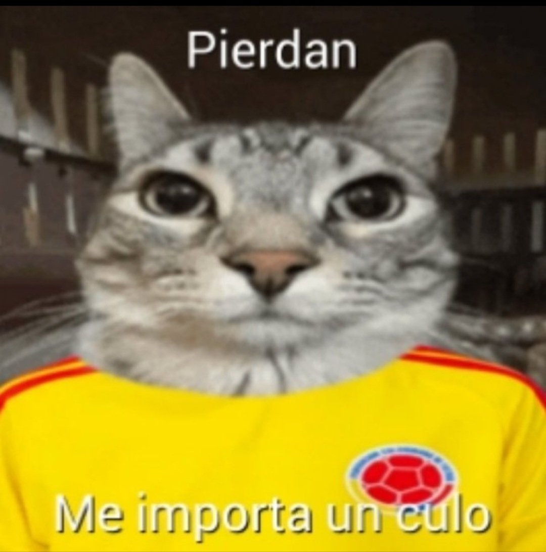 blink_834's tweet photo. @FCFSeleccionCol @avianca Por mi que se vayan a la mierda partida de agrandados https://t.co/J4gDwwTrOu