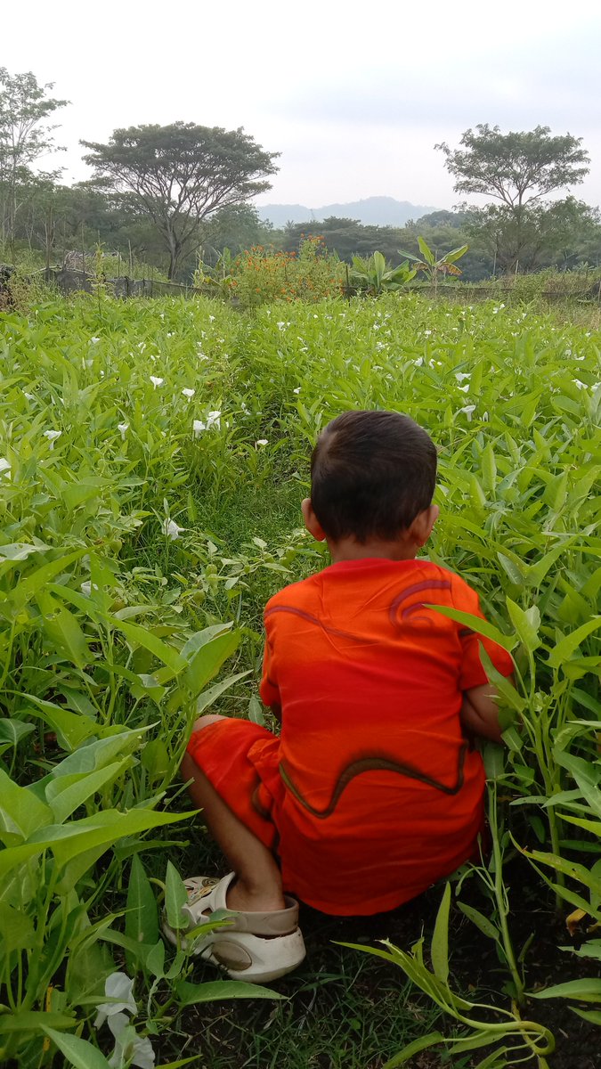 jogstate's tweet photo. Met pagi gaes..
Menurutmu, menimbang beratnya jadi WNI saat ini, baiknya nanam apa ya? 
Padi, ubi, horti, sayur, atau kepala Dadan MBG? Orang desa gak makan dolar lur, jadi gak penting 18.000 atau sejuta. 
Atau kita ngopi2 saya ya lur? https://t.co/jrMyIusnmX