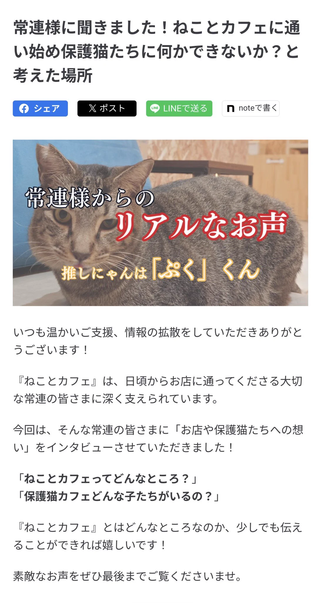 Reposts by ねことカフェ大阪天王寺店 (@neko10cafe) / X