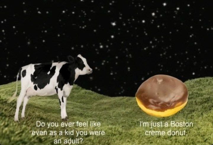 cow tweet media