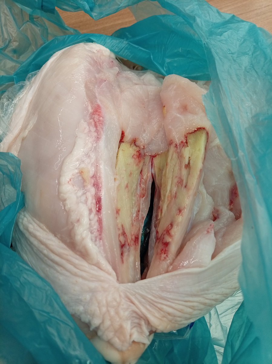 mbmosqu's tweet photo. Que más espera el @Arcsa_Ec para revisar las condiciones en las que vende los alimentos el @Coral_Ec @CoralHipermerca?? Hoy compre una pechuga d pollo y al abrirla en casa me encuentro con esto!!! Me la cambiaron pero tuve que despedezarla en el local de la magdalena https://t.co/0PwMhrpTXF