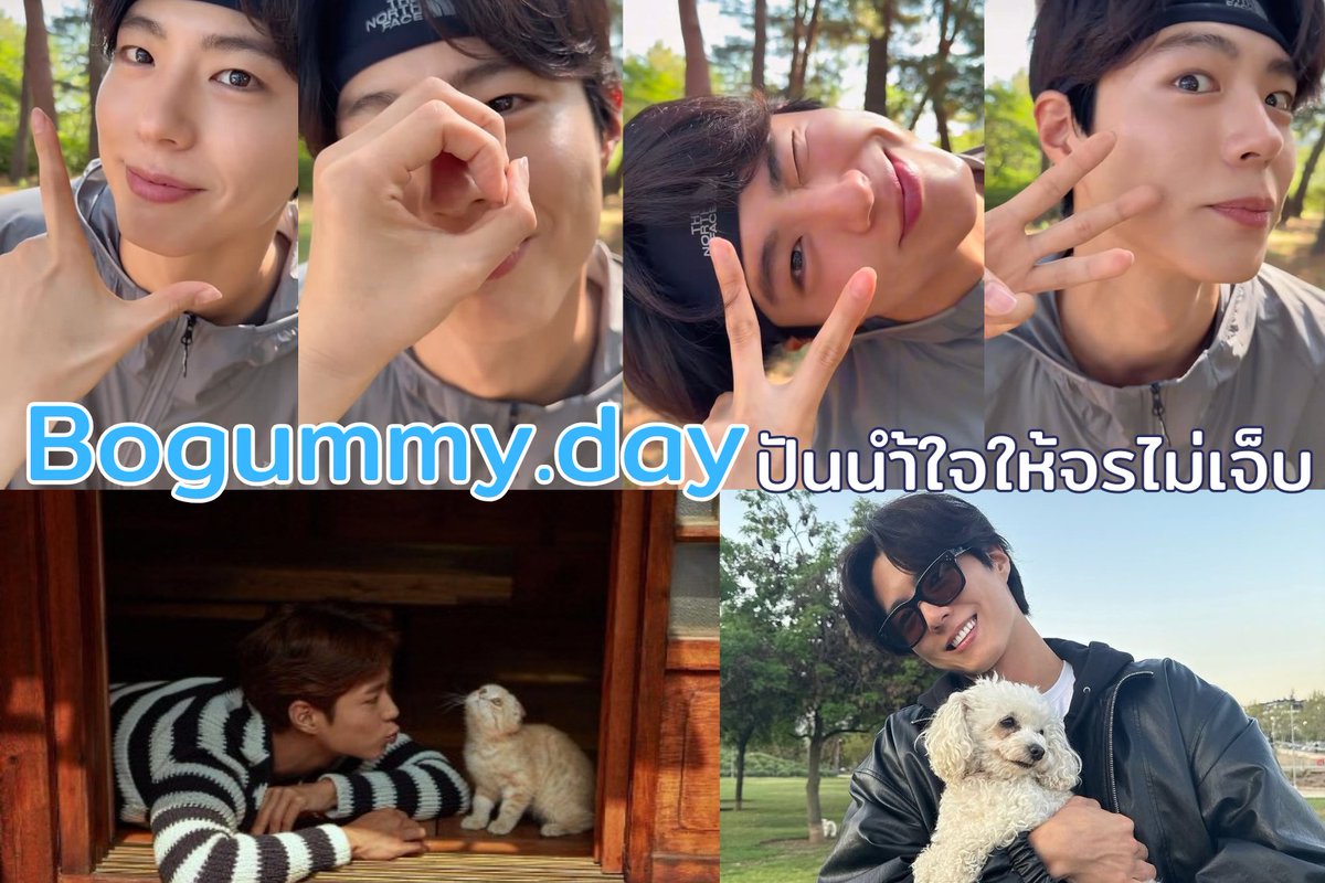 baansomwang's tweet photo. 🎂 Happy BogumDay 🎂🐈 ปันน้ำใจให้จรไม่เจ็บ
Bogummy ยาสามัญประจำใจ x Baansomwang

🐾 รายได้ส่งต่อให้ 
• มูลนิธิรักษ์แมว ปันน้ำใจให้แมวจร 
• มูลนิธิเดอะวอยซ์ (เสียงจากเรา)
ร่วมทำบุญวันเกิดโบกอม 16.06.2026 พร้อมรับของที่ระลึกสุดน่ารักจากบ้านสมหวัง
(ไม่มีการหักค่าใช้จ่าย ชำระเฉพาะค่าส่ง 45 บาท)
💝 ร่วมบุญได้ 2 ช่องทาง
1️⃣ โอนผ่าน
💳 กสิกรไทย 157-143841-7
ธฤษวรรณ เกตุพันธ์
2️⃣ บริจาคตรงให้มูลนิธิเดอะวอยซ์
https://t.co/CRyxZ8q99g

โอนแล้วกรอกฟอร์ม แจ้งยอดและรับของที่ระลึก
https://t.co/ScQ25UlOxB
➕ โอนค่าส่ง 45 บาท มาที่บัญชีด้านบน

🛑 ปิดรับ 14 มิ.ย. 69
📦 ส่งของที่ระลึก 25 มิ.ย. 69
#HappyBogumDay #ParkBoGum #박보검