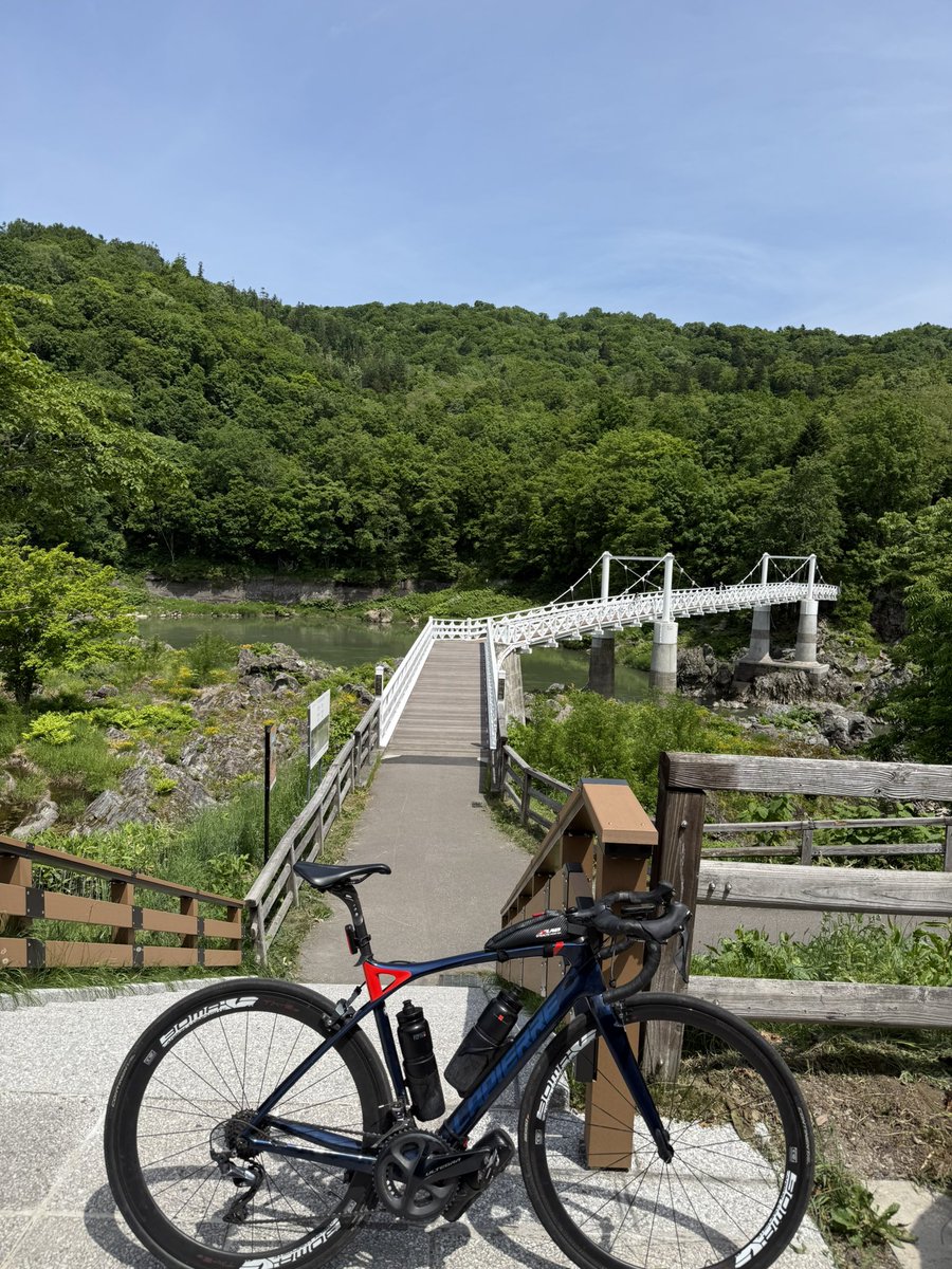 HACHIKON_'s tweet photo. 定期パトロール
#LAPIERRE #ラピエール #XELIUS #ゼリウス #ロードバイク #旭川 https://t.co/NlHnBqI2mU