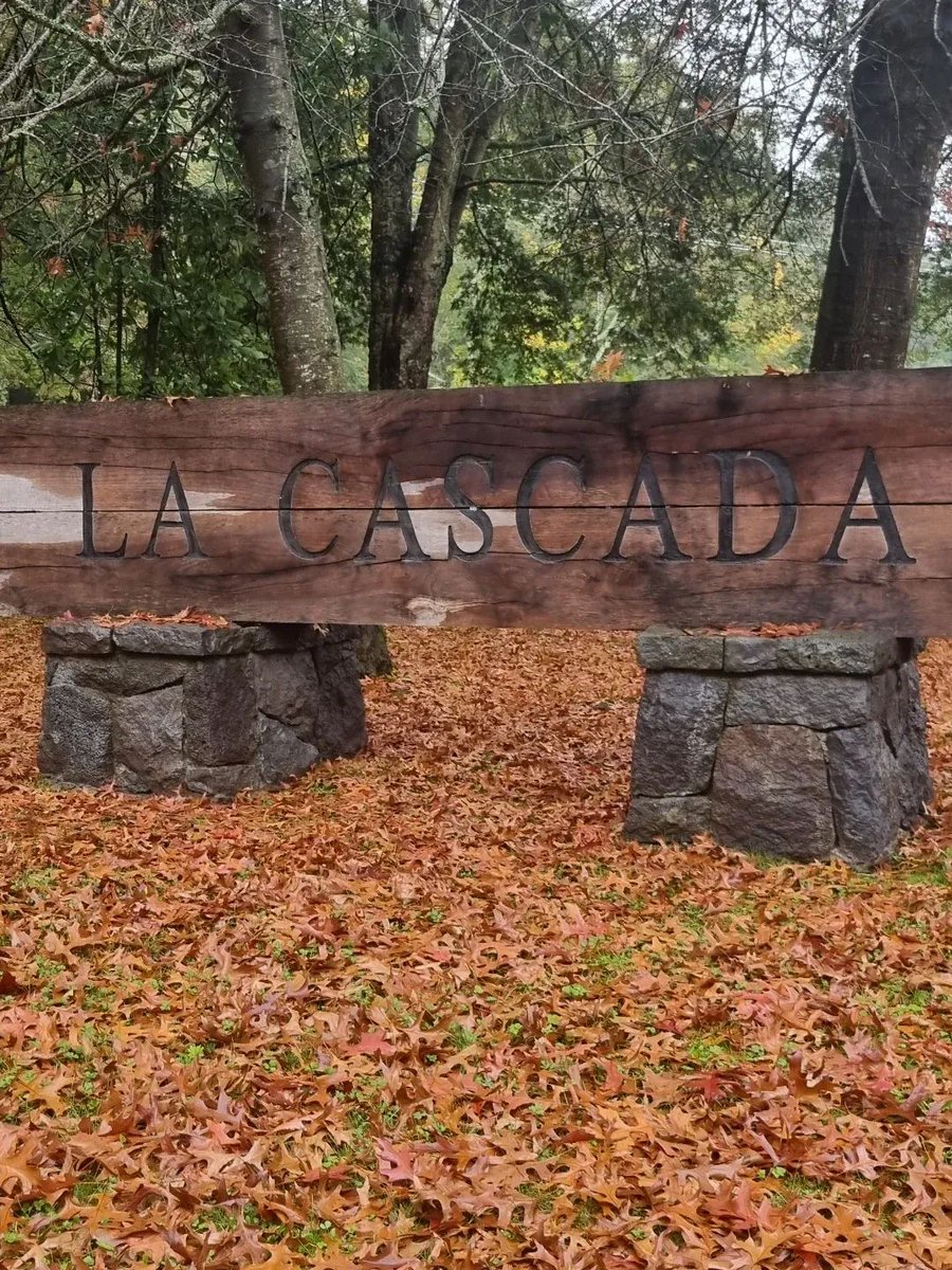 SoledadConejer3's tweet photo. Hermoso otoño 🍁 y sus colores 🍂 https://t.co/7xhbgKI65c