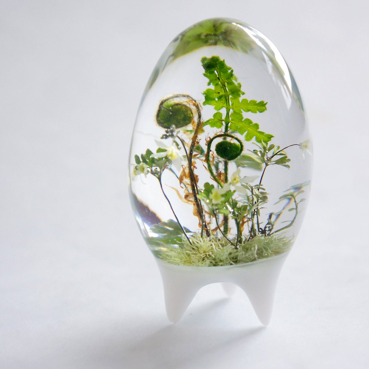 amazing_resin's tweet photo. #一目で私の作品とバレる印

レジンの中にみずみずしいシダや苔が生えていたら私の作品 https://t.co/lRpvifzgB1