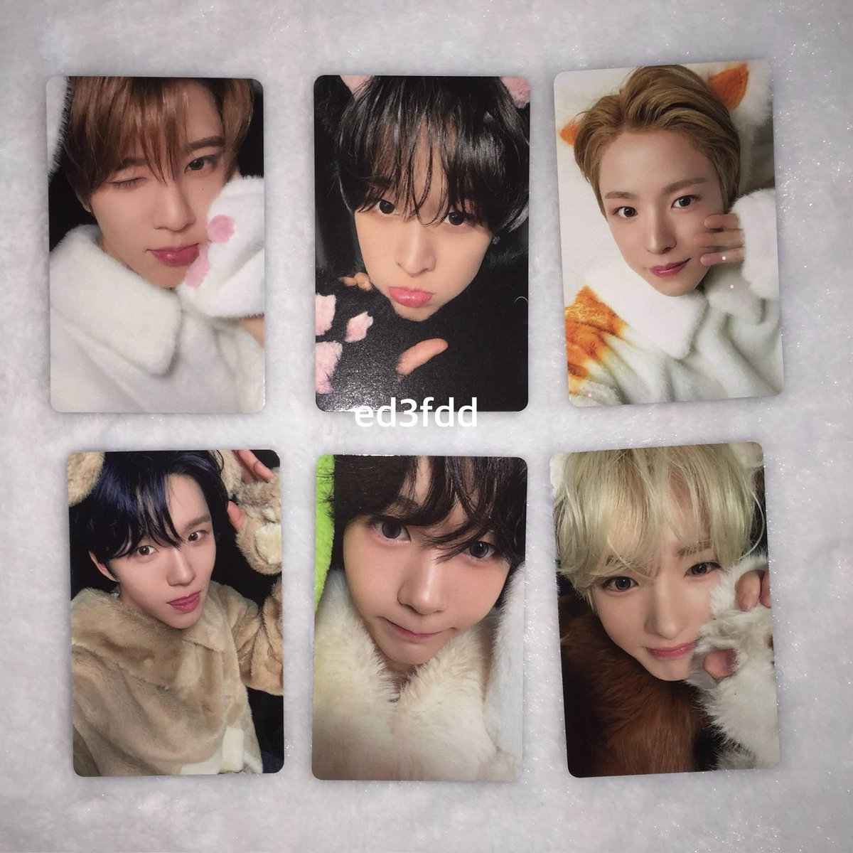 ed3fdd's tweet photo. 동물포카 당첨된거 드디어 옴 https://t.co/9N0MYgU1E5