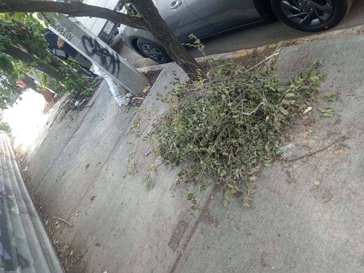BjPortales's tweet photo. @locatel_mx @AccionesBJ @ReportandoCDMX1 @LuisMendozaBJ todos los días es lo mismo en calles de Víctor Hugo y Suiza 03570 el personal de limpia Alberto hijo de don José no barre porque no le paga la alcaldía ojalá nos manden ya a personal autorizado de limpia no voluntarios https://t.co/qDQyJVArJm