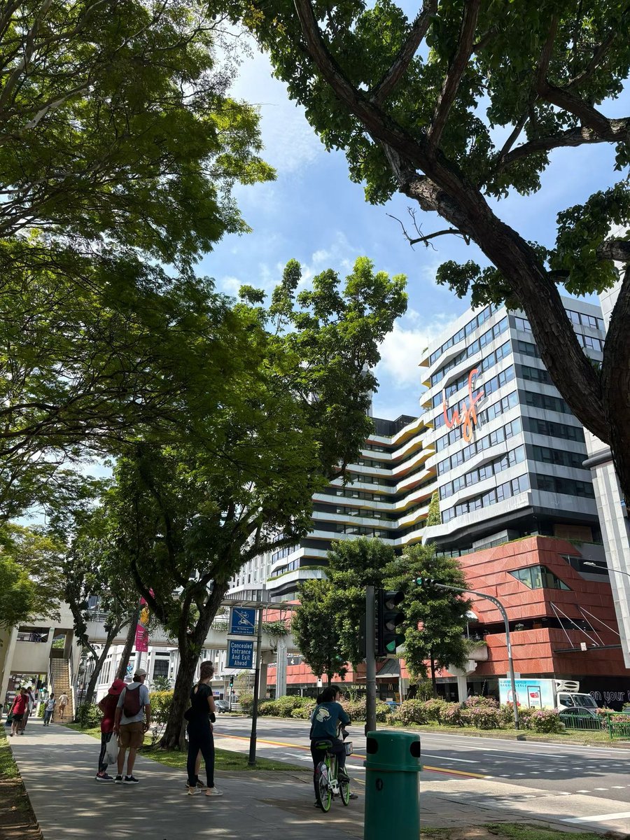 娇妻肥美多汁 tweet media