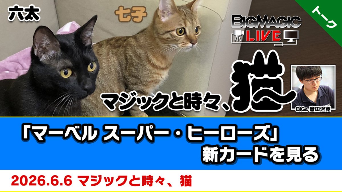 MtgBigmagic_TV's tweet photo. 【MTG生放送】#MTGxMarvel
明日6月6日（土）13時頃からYouTubeにてBIG MAGIC LIVE 生放送 BIGs 斉田逸寛「マジックと時々、猫」を放送します！
 
今回は『マジック：ザ・ギャザリング | マーベル スーパー・ヒーローズ』の新カードを見ます！

🔽生放送ページ
https://t.co/RXn7JJrEJ1 https://t.co/7kLt6MW8C4