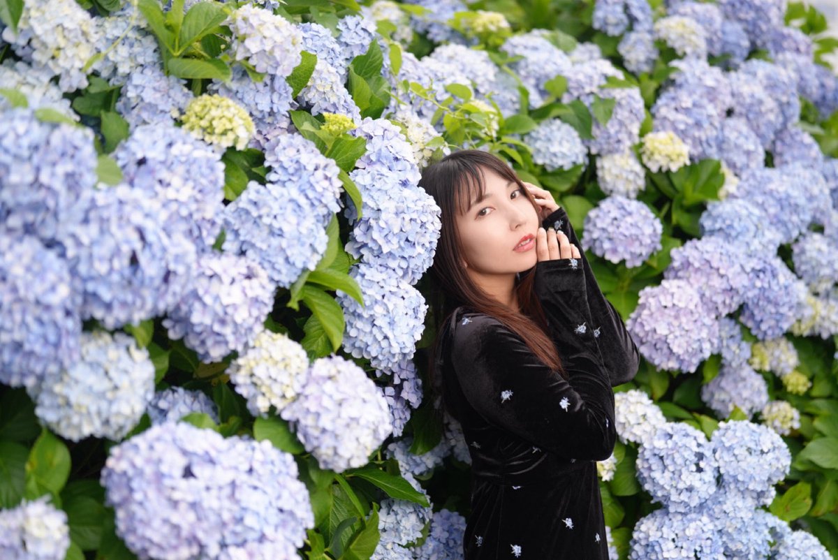 messme12e's tweet photo. 今年初めての紫陽花！
あと何回紫陽花撮れるかな？📸 https://t.co/g4umZSXw1X