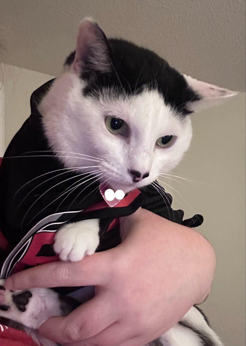 weirdnotwild's tweet photo. how could the canes do this to her https://t.co/zuikDgPMHa