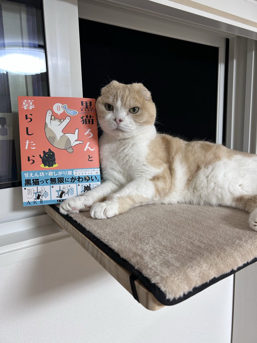 marumo130313's tweet photo. @bou128 昨日届きました

これから読みます！楽しみ🥰 https://t.co/Io2JsZWvcK