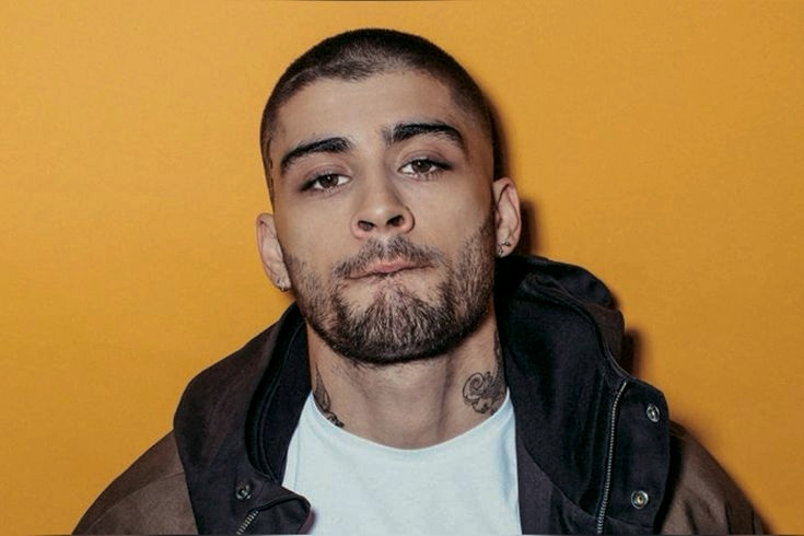 ✧⋆*｡emi | proud of zayn 🌪️🐆 tweet media