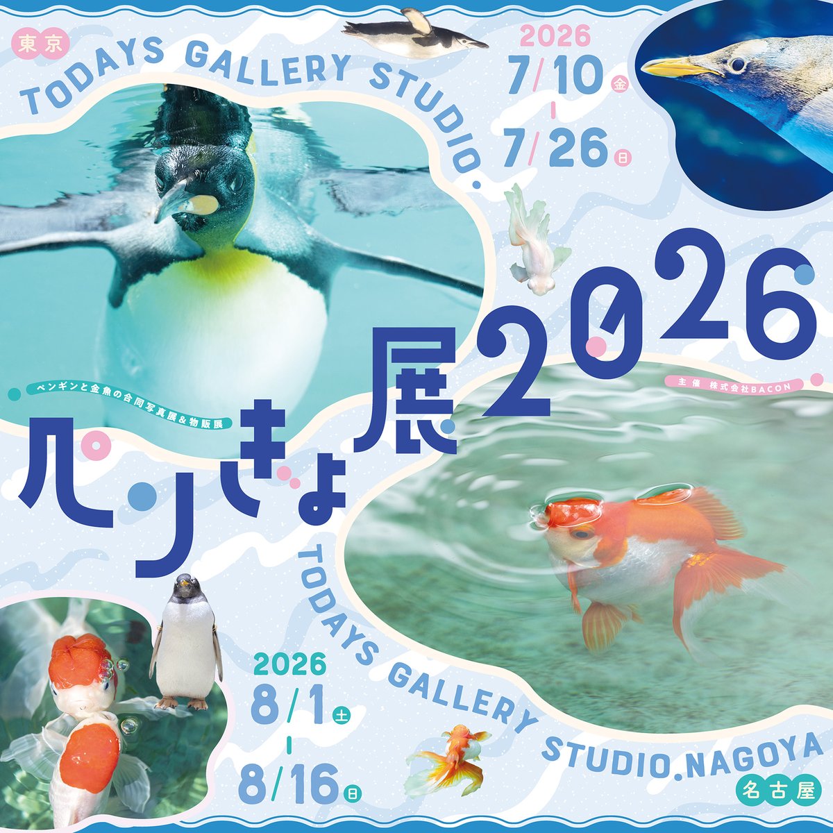 るるなっく (@ruru79) / Posts / X