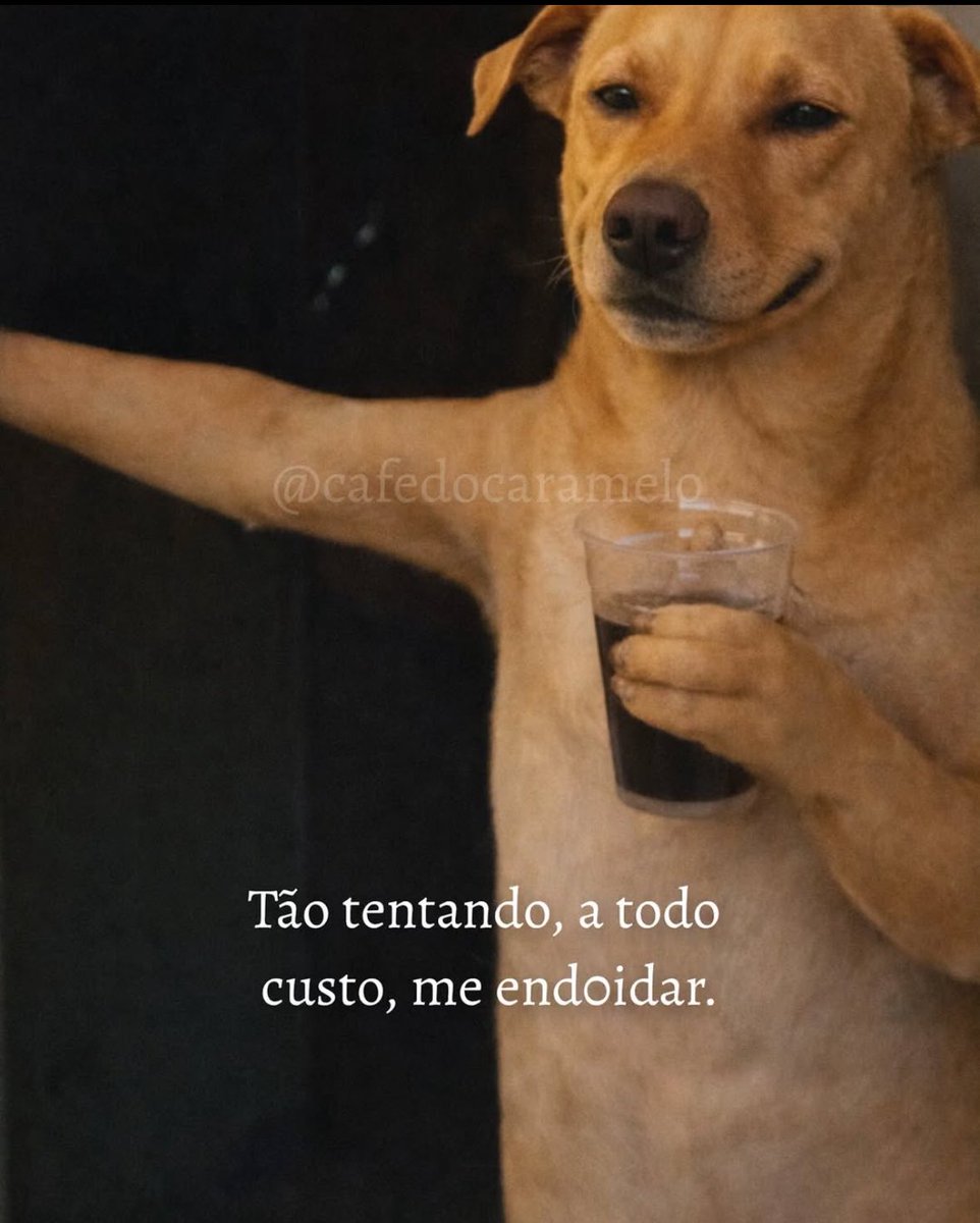 DDLopees's tweet photo. Tu acha que eu sou doido ? Tu não conheces os meus amigos. https://t.co/gp4qzE3mic