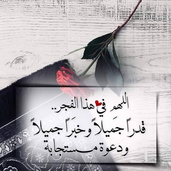 aagg0206's tweet photo. #صلاة_الفجر https://t.co/0FfnjGeaP8