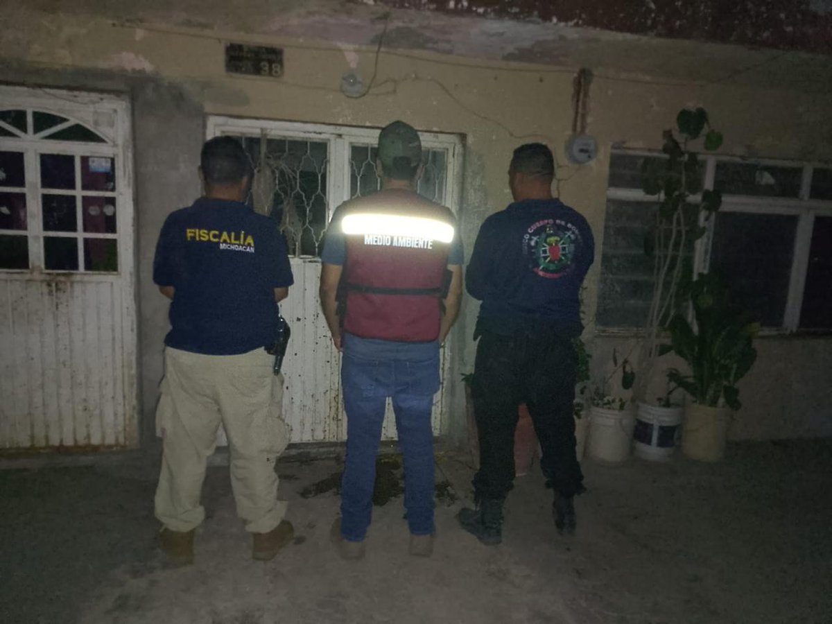 FiscaliaMich's tweet photo. 🚨⚠️ En Apatzingán, rescatamos a 7 caninos en condiciones de maltrato. hechos ocurridos en la colonia Palmira de este municipio
➡️ https://t.co/OAuiOJYFNE https://t.co/BLqQiqkc8x