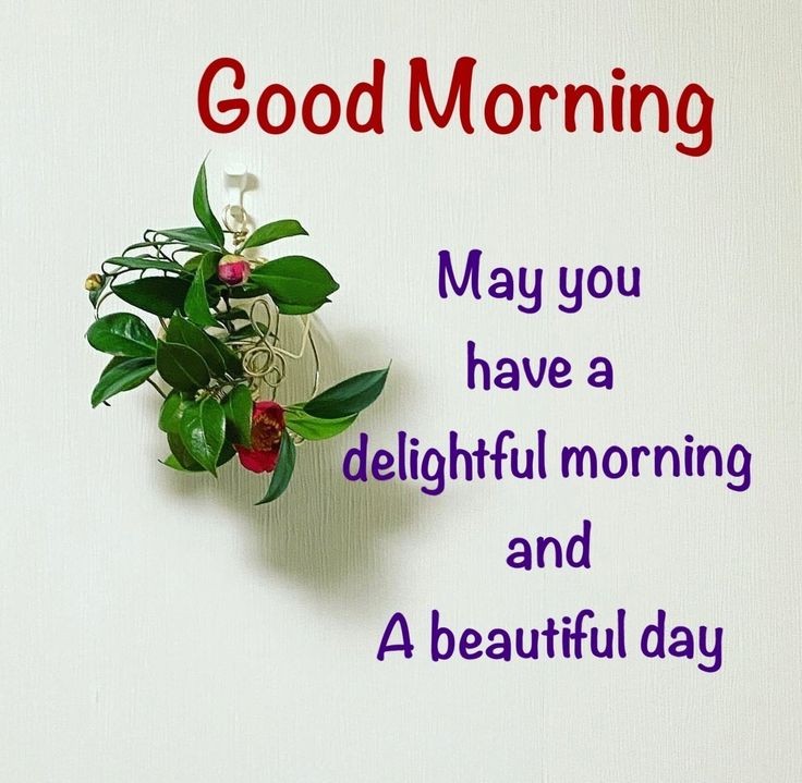 arunp131's tweet photo. Good Morning beautiful souls have a happy blessed day do take care Hare Krishna 🙏 ✨️ ☕️ 😊 💖 https://t.co/AqOaZ2uDtk