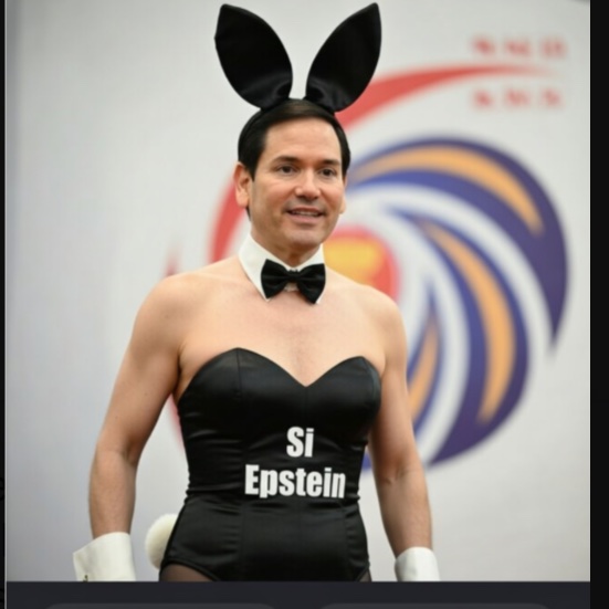 SerfdomDigital's tweet photo. @SecRubio Cuban bunny⁉️ https://t.co/22f57YUtmo