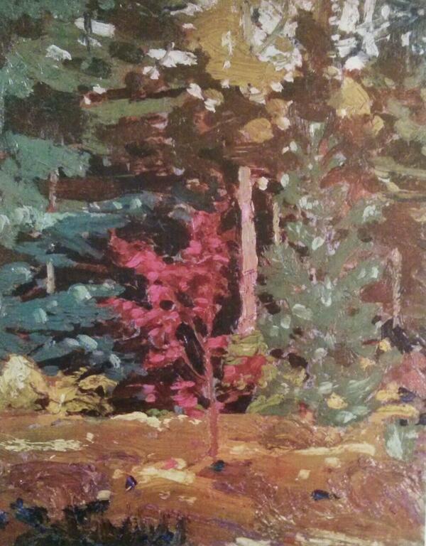 TTLastSpring tweet picture