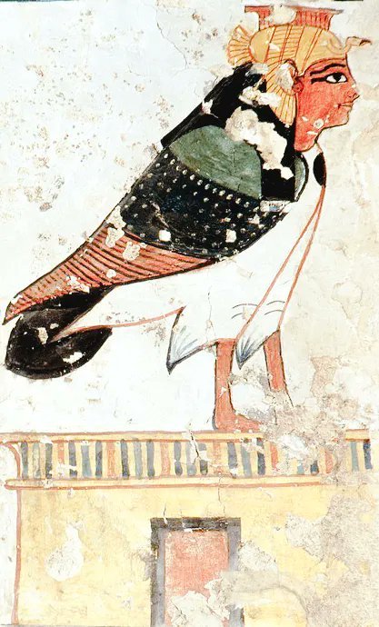 PeterBrandEgypt's tweet photo. Some images from Queen Nefertari' tomb show symbism seen on papyrus scrolls of the Book of the Dead.

There wasn't room for the entire Book on its walls, but these scenes airded the Queen' journey through the Underworld 

In one scene the goddesses Isis and Nepthys appear as kites mourning Osiris on his bier inside a shrine.

Kites are raptors whose high pitched cries were similar to the sound of the goddesses mourning their dead brother Osiris

Another scene has Nefertari herself sitting in a shrine playing the ancient board game Senet. Sent means "(the game of) Passing"

It represents the dead queen's journey through the Underworld and the obstacles she faced.

Another image shows her with a bird's body, the classic image of the deceased's soul 

#archaeohistories #archaeology
#myth