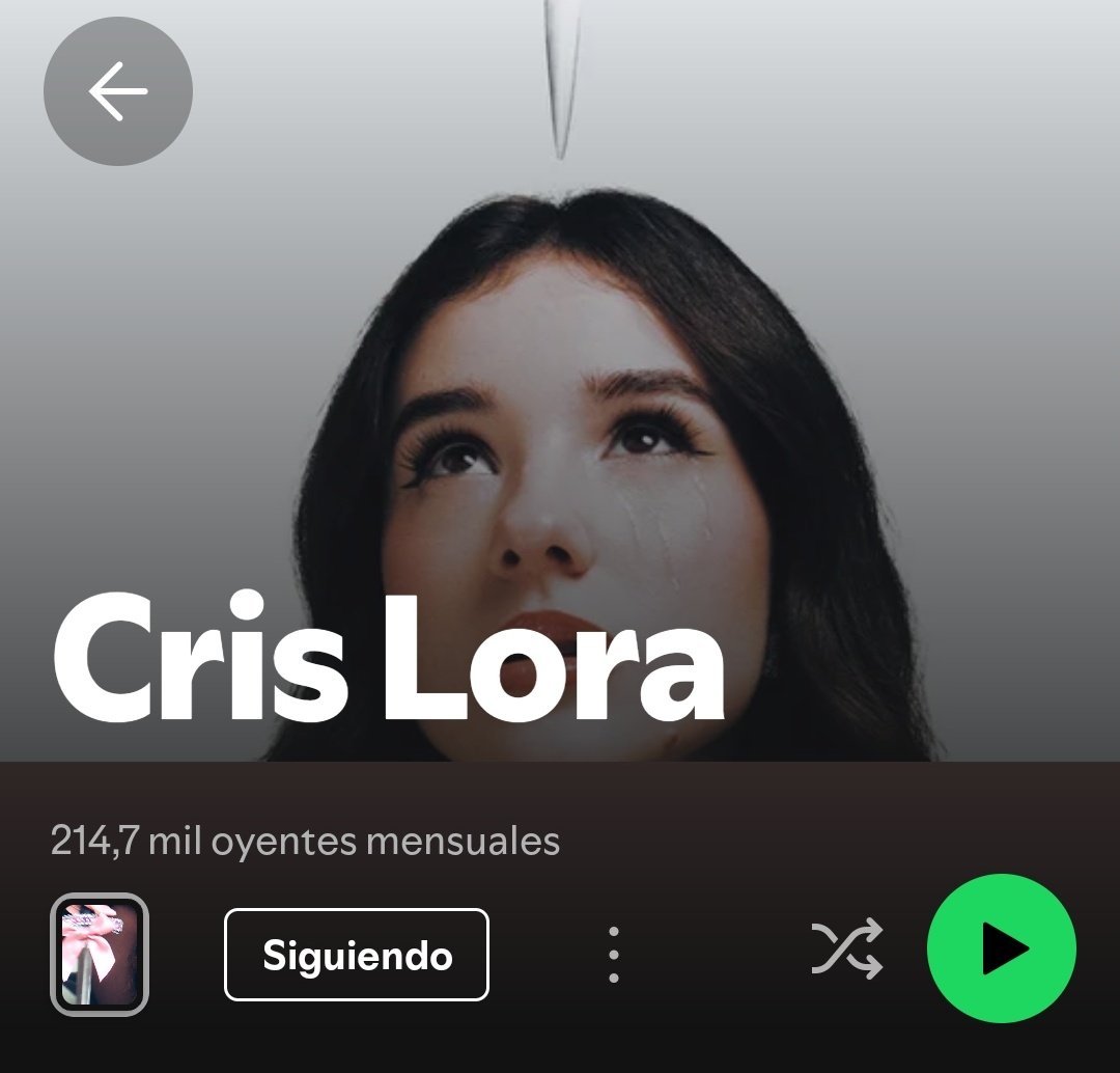 inthewronglane_'s tweet photo. estoy flipando q una tal cris lora le ha robado el perfil de spoti a cristina😨 https://t.co/iZUoxyBVjk
