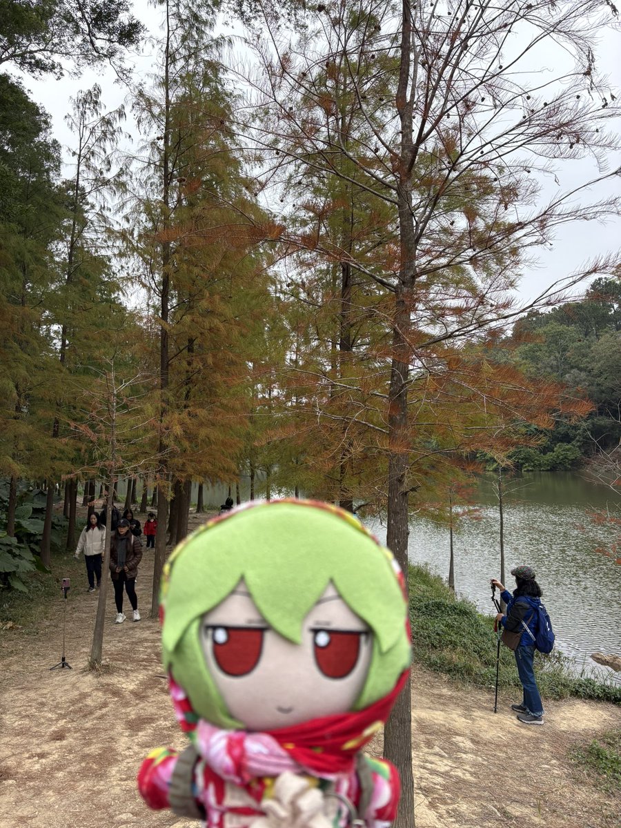 RemiliaRifleman's tweet photo. Lakeside Cedars https://t.co/20K1I85vEg