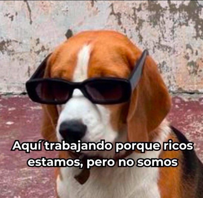 FraseSimple's tweet photo. https://t.co/I9snEaeqH7