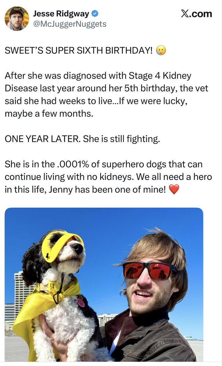 VoidScream3rr's tweet photo. @annamlulis Yet they chose to keep a dog with no kidneys alive? 

Thier priorities are so messed up. https://t.co/bch6LFpuEO